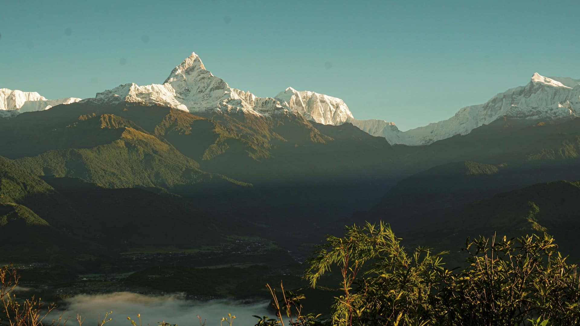 Serene Mountain Lake Surrounded by Lush Greenery